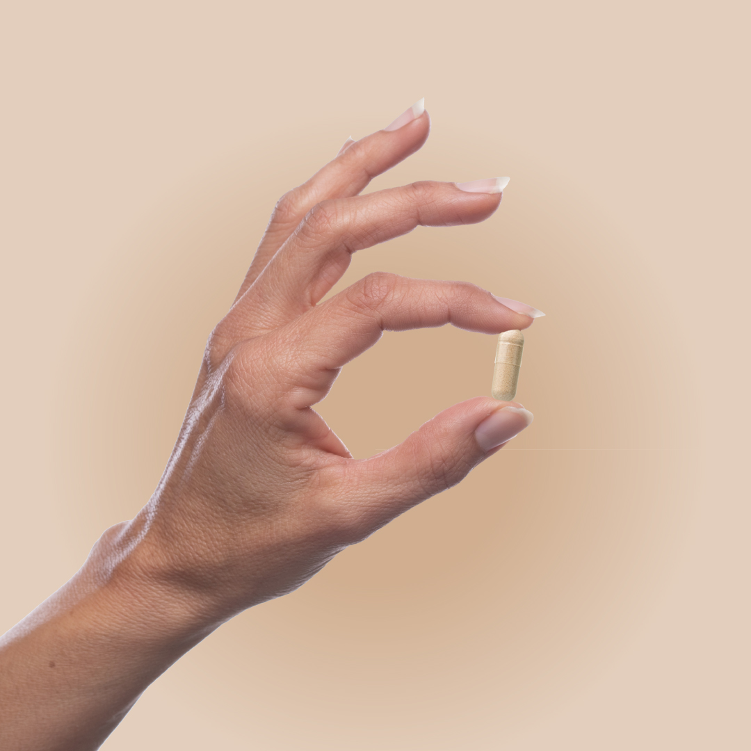 פטריית טרמלה